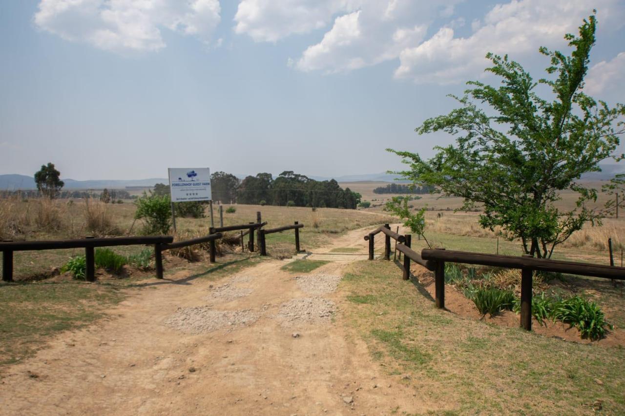 Forellenhof Guest Farm Wakkerstroom Exterior photo