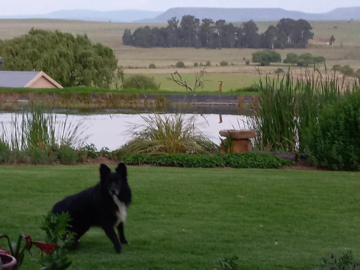 Forellenhof Guest Farm Wakkerstroom Exterior photo